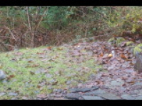dsc00075.jpg